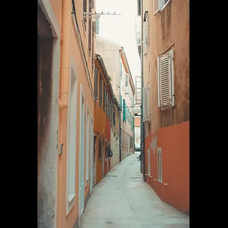 In Croatia Next To The Apartman *